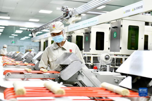 山东滨州 多措并举，以数字内容服务激活民营经济高质量发展新引擎